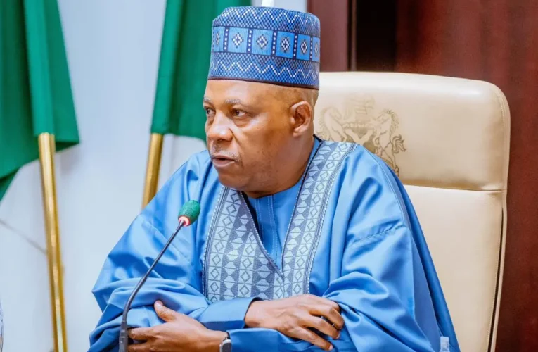 ‘Nigeria has no business being poor,’ Shettima says