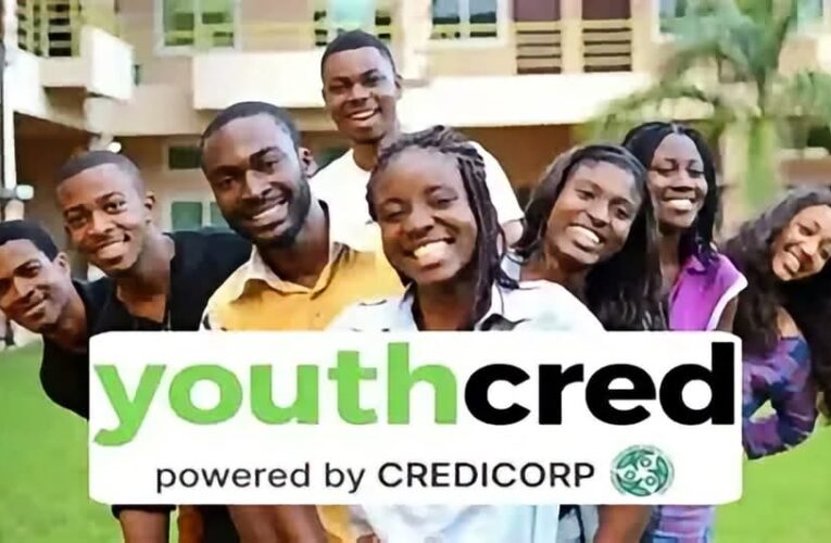 How To Apply For FG’s ₦2 Million Youth Credit Loan As A Caterer, Farmer, Others