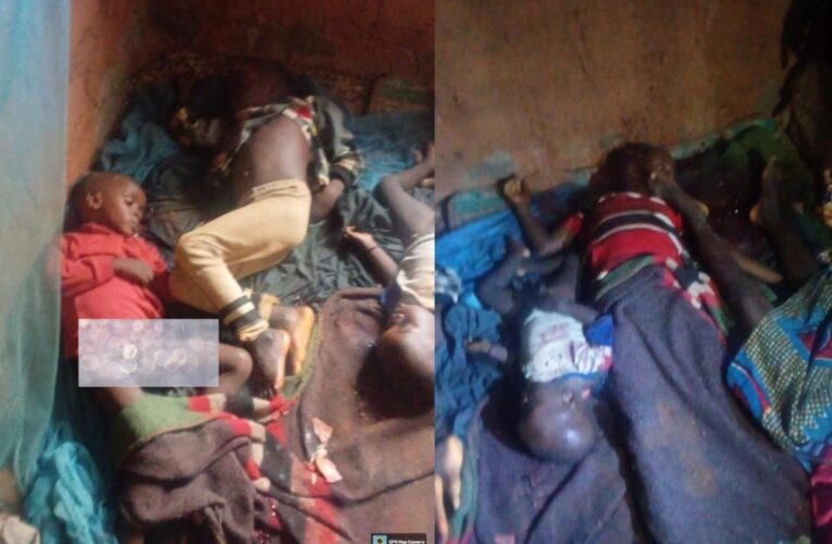 Gunmen Kill At Least 30 in Fresh Attack on Southern Kaduna Community