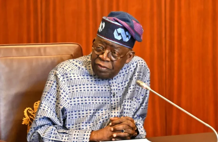 Tinubu to Governors: Stop Building Flyovers in Low-Traffic Areas, Invest in Roads and Security Access