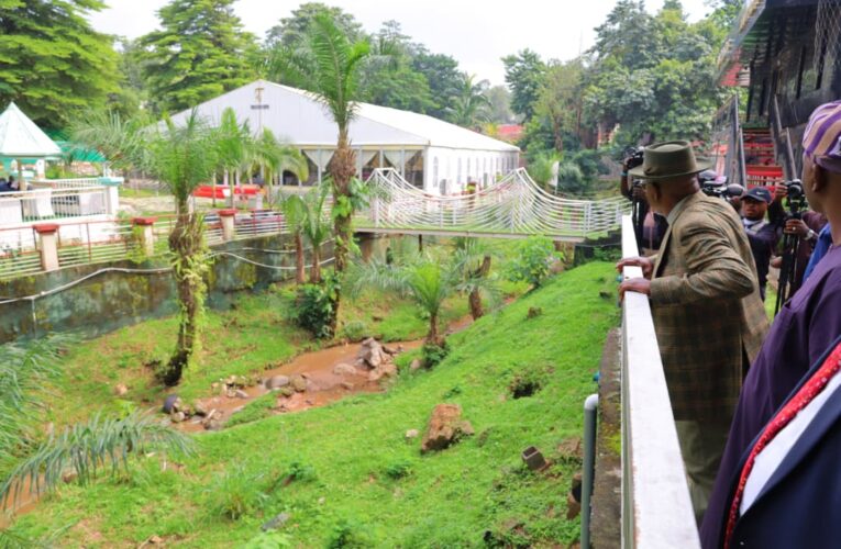 Maitama Flood: Wike Orders Demolition of Houses Blocking Water Channels