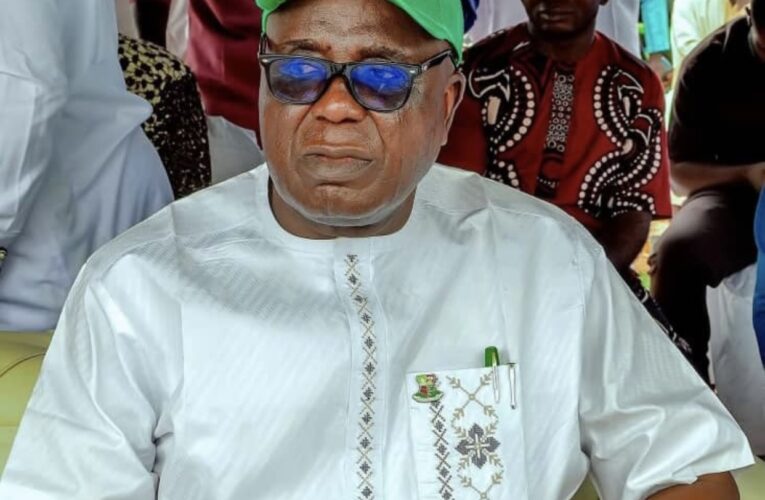 Irepo Local Government Stakeholders Endorse Hon. T.T. Olayiwola for Second Term, Declare Him the Best Choice