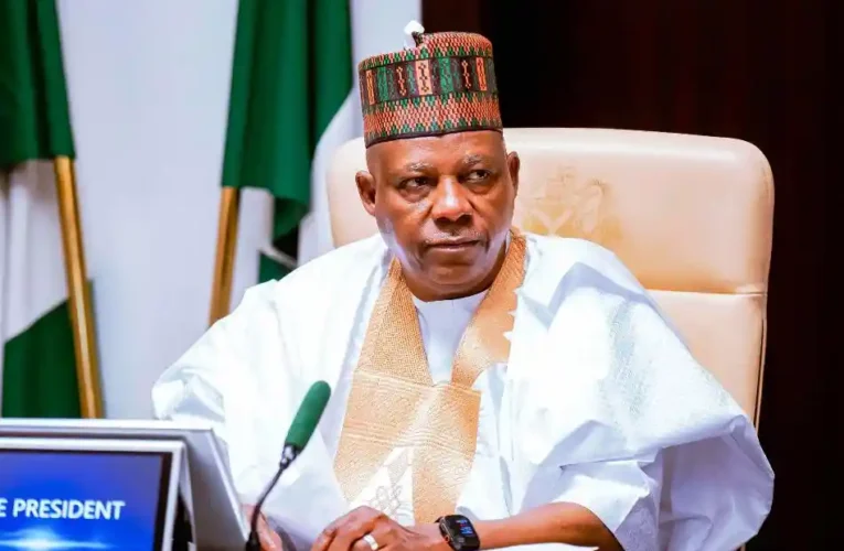 NEC approves $4.5bn Project Gazelle 2 to refinance $3.3bn facility