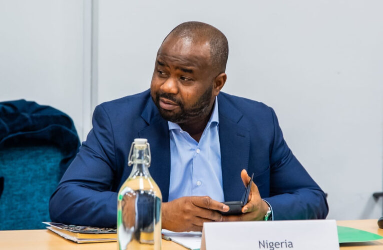 Outcry Over Adedeji’s Role As Tinubu 2027 Campaign Fundraiser While Heading Nigeria Revenue Service