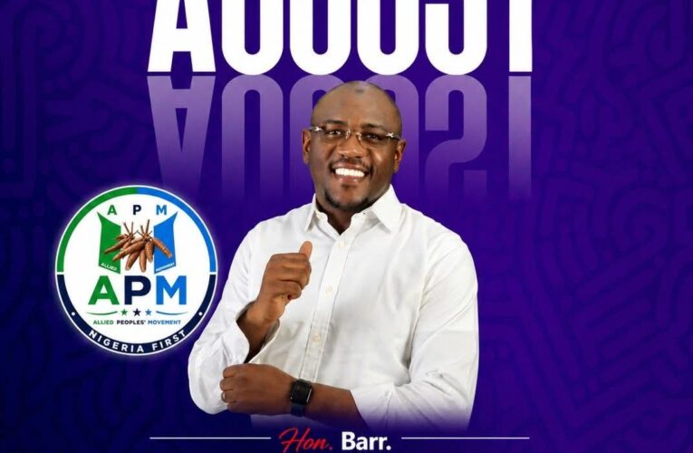 New Month: Oyo Federal Constituency Deserves More, Says APM Candidate Seun Ashamu
