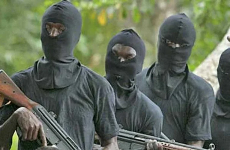 Boko Haram Suspects Attack APC’s Guber Candidate 