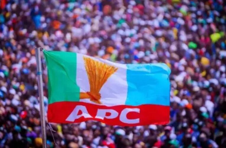 2027: Aggrieved APC Govs Accused of Plotting Against NASS Candidates