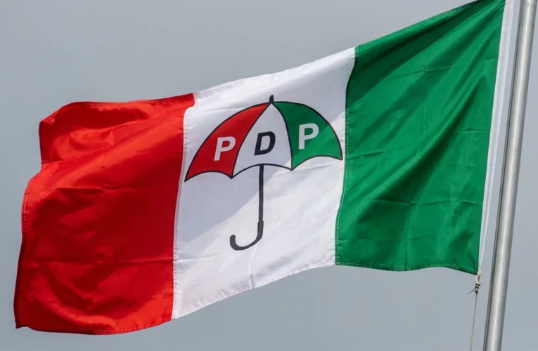 Court Orders Fresh PDP Governorship Primary