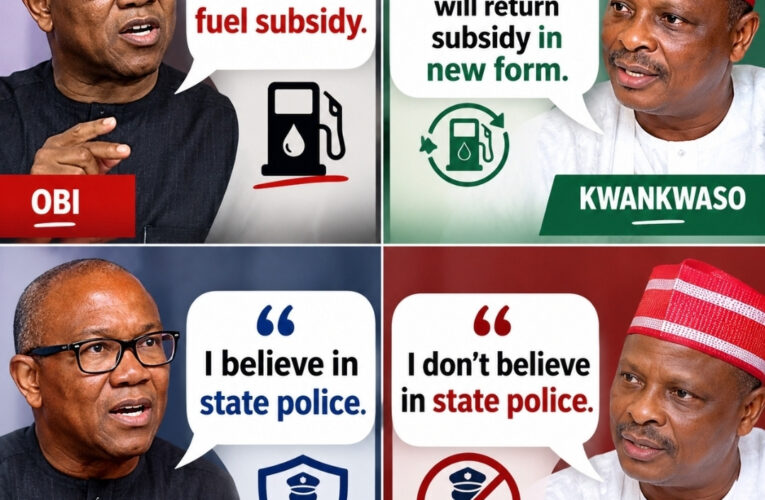 I’ll Reinstate Subsidy If Elected, Obi Pledges