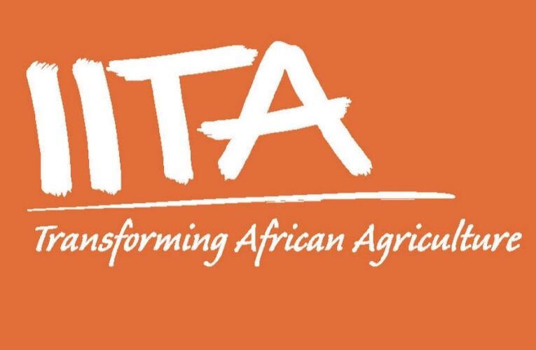IITA Announces Recruitment For Multiple Positions In Ibadan