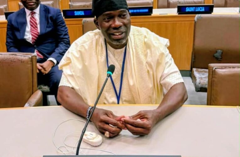 Agboworin Speaks On Institutional Reforms In Drug Control At 81st UNGA