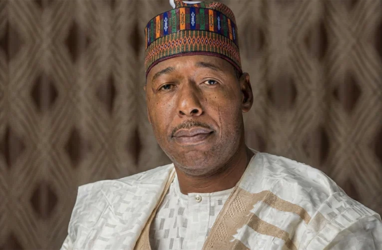Borno Loses N3b Naira Power Wires To Scavengers – Zulum