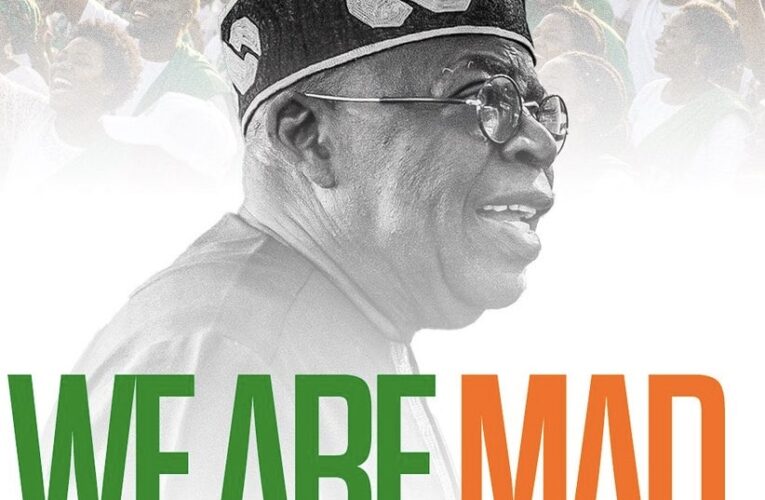 2027: Why Tinubu’s Supporters Are Really ‘MAD’ — Bayo Onanuga