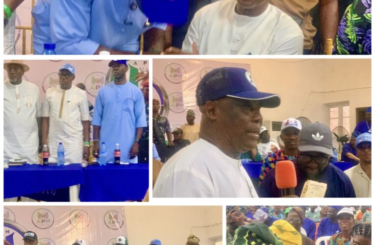 Ibarapa Zone: Oyo Deputy Gov Reiterates Approval Of 2,000 Solar Lights Per LG, Assures Appointment Of SAs, Supervisory Councillors